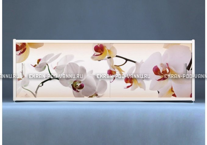 Раздвижной ФОТО экран - Orchid – купить по цене 8500 руб. в интернет-магазине в городе Курган картинка 1