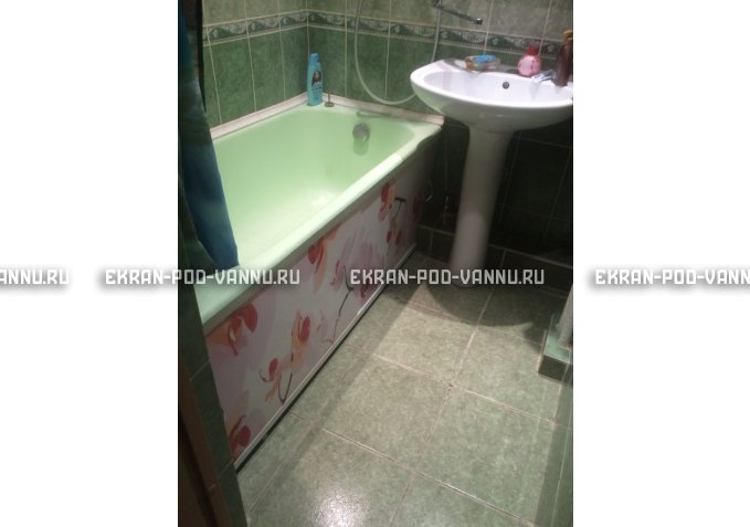 Раздвижной ФОТО экран - Orchid – купить по цене 8500 руб. в интернет-магазине в городе Курган картинка 6