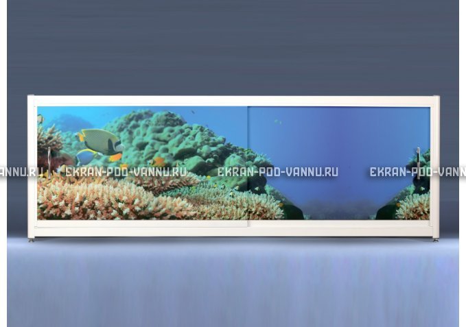 Экран на роликах EUROPLEX Коралловые рифы – купить по цене 12400 руб. в интернет-магазине в городе Курган картинка 1